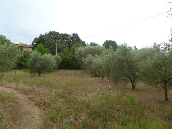 terreno agricolo in vendita a Sorano in zona San Giovanni delle Contee