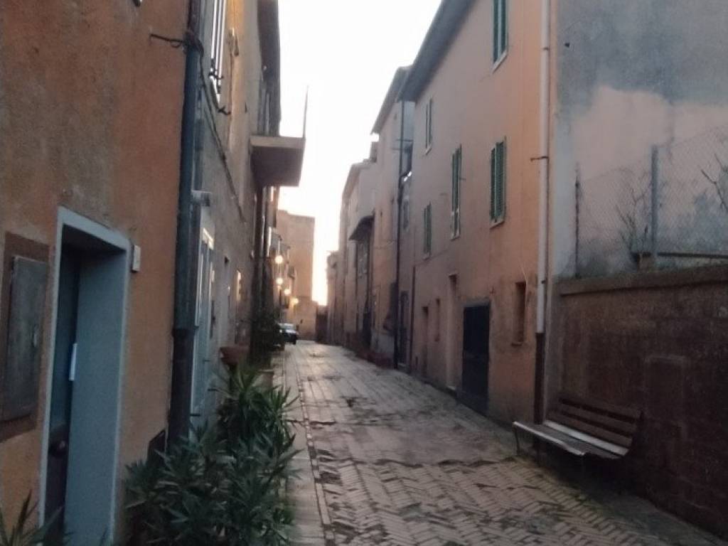 casa indipendente in vendita a Sorano