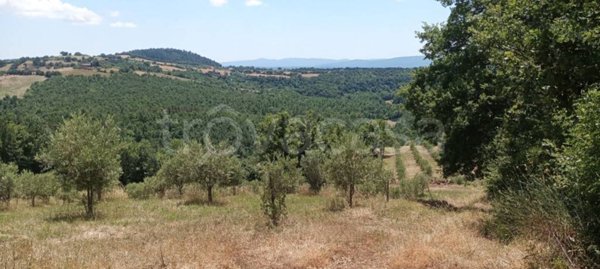 locale di sgombero in vendita a Sorano