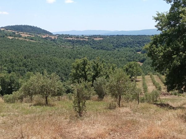 casa indipendente in vendita a Sorano