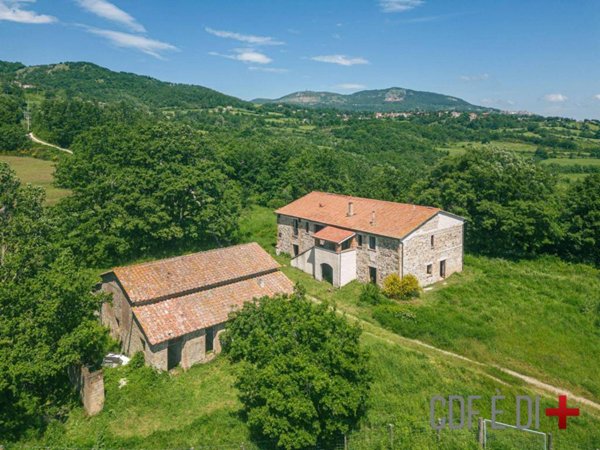 terreno agricolo in vendita a Sorano