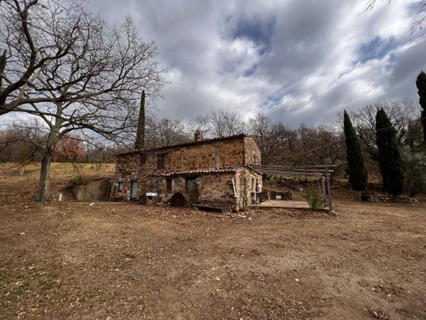 esavano in vendita a Sorano in zona Sovana