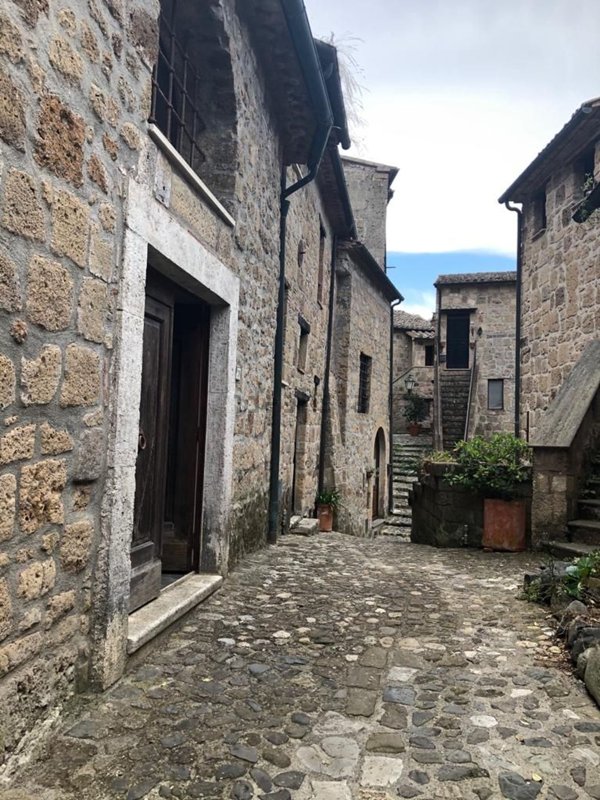 appartamento in vendita a Sorano