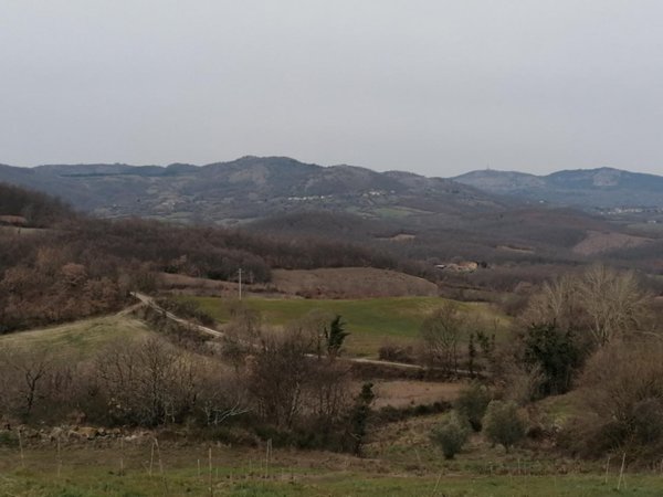 negozio in vendita a Sorano in zona San Valentino