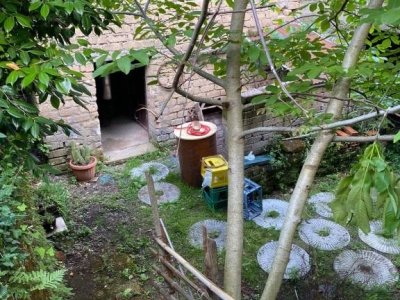 appartamento in vendita a Sorano in zona Sovana