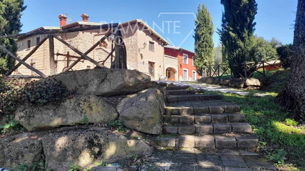 azienda agricola in vendita a Sorano