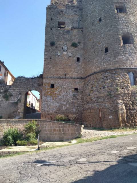 appartamento in vendita a Sorano