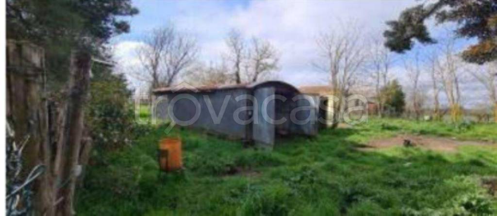 negozio in vendita a Sorano