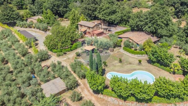 casa indipendente in vendita a Sorano in zona San Valentino