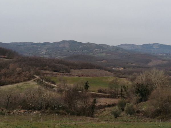 terreno agricolo in vendita a Sorano in zona San Valentino