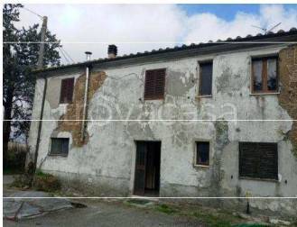 appartamento in vendita a Sorano