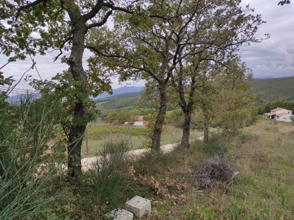 casa indipendente in vendita a Sorano in zona Elmo