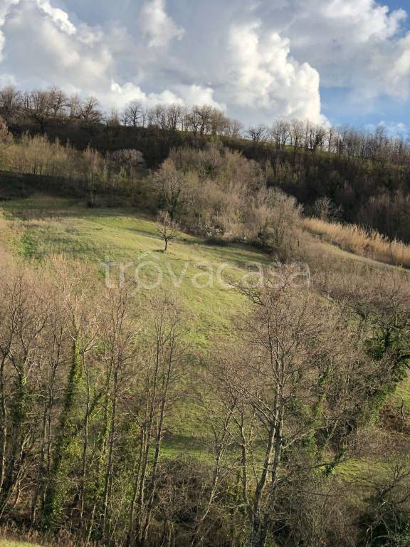 terreno agricolo in vendita a Sorano in zona Montebuono