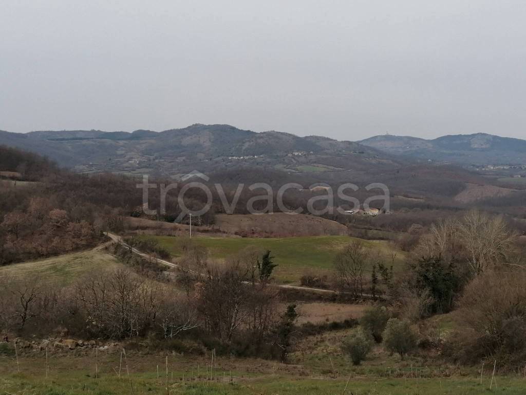 terreno agricolo in vendita a Sorano in zona Elmo