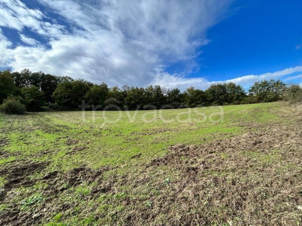 terreno agricolo in vendita a Sorano in zona San Giovanni delle Contee