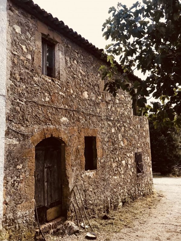 rudere in vendita a Sorano