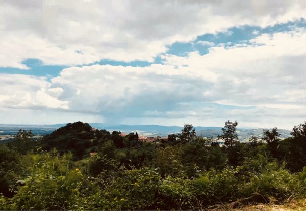 casa semindipendente in vendita a Sorano in zona Montebuono