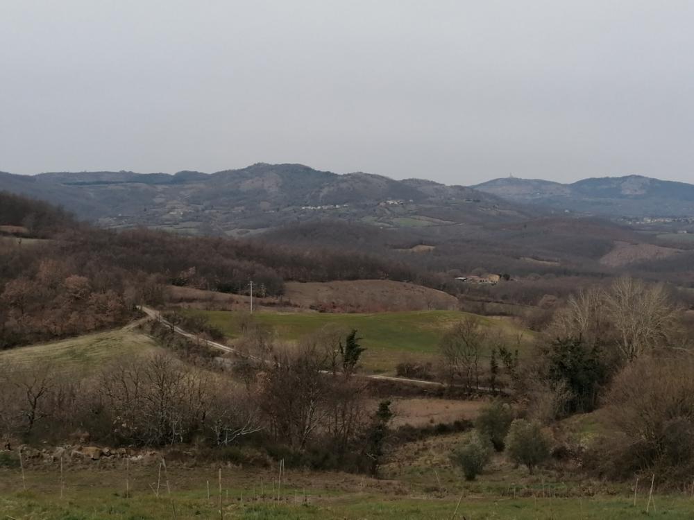 terreno agricolo in vendita a Sorano in zona San Valentino