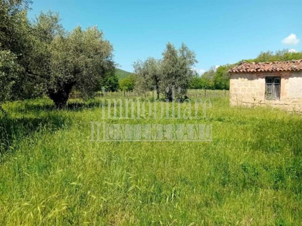 terreno agricolo in vendita a Sorano in zona Sovana