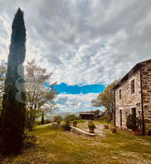 appartamento in vendita a Sorano in zona Montebuono