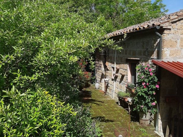 casa indipendente in vendita a Sorano