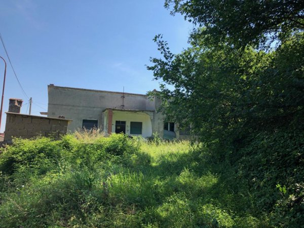 pentavano in vendita a Sorano