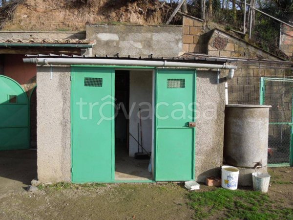 terreno agricolo in vendita a Sorano