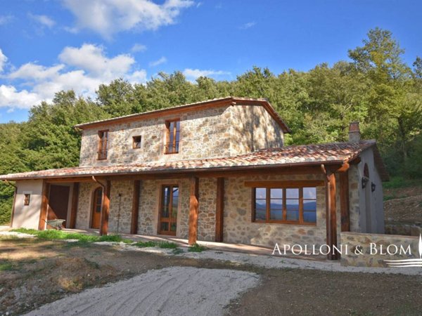 casa indipendente in vendita a Sorano in zona Montebuono