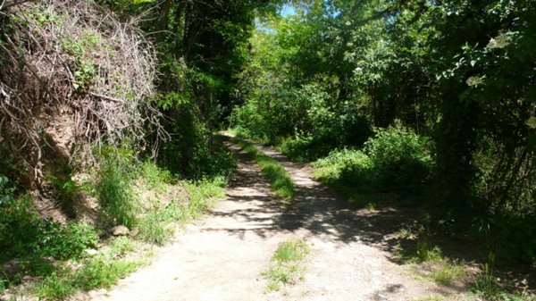 immagine annuncio 0 di 15