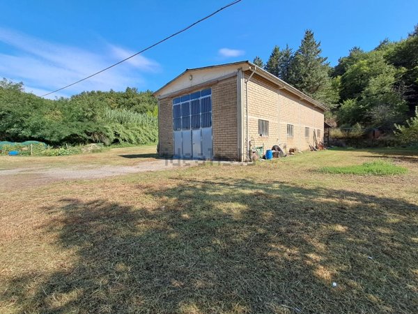 terreno agricolo in vendita a Sorano