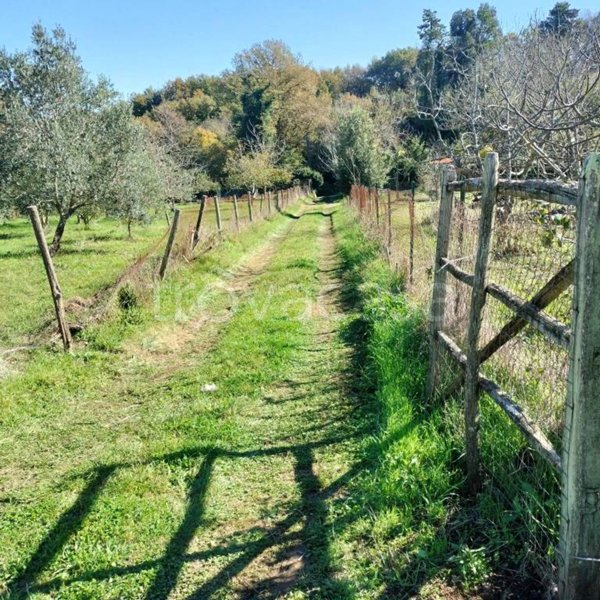 casa indipendente in vendita a Sorano