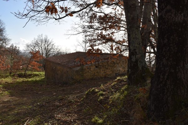 appartamento in vendita a Sorano in zona Sovana