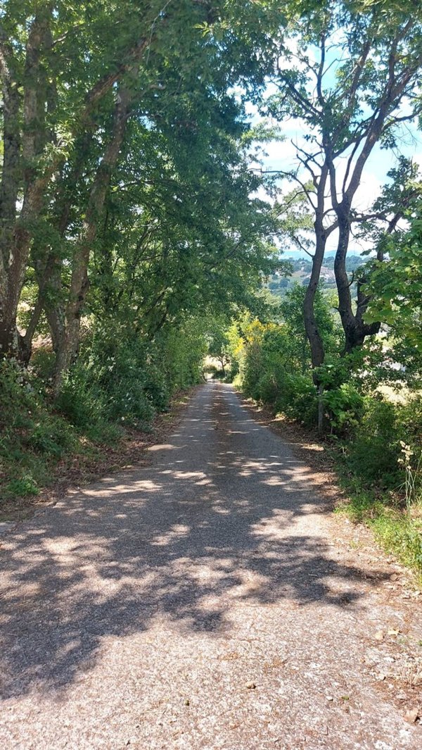 pentavano in vendita a Sorano in zona Elmo