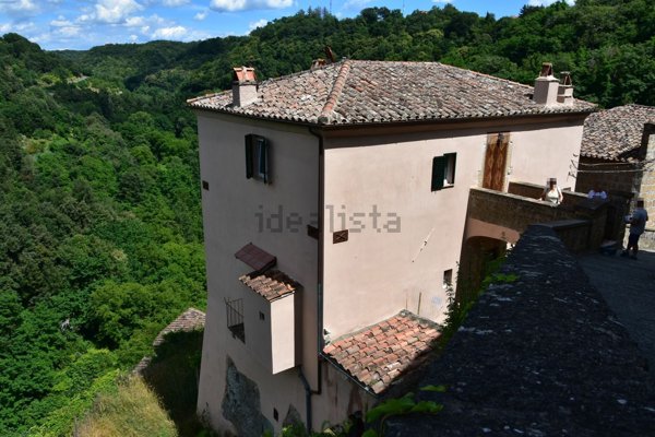 quadrivano in vendita a Sorano