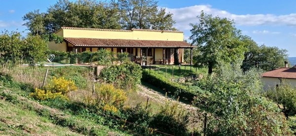 appartamento in vendita a Sorano in zona Sovana