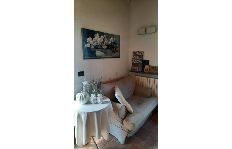 terreno agricolo in vendita a Sorano