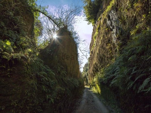 pentavano in vendita a Sorano in zona Sovana