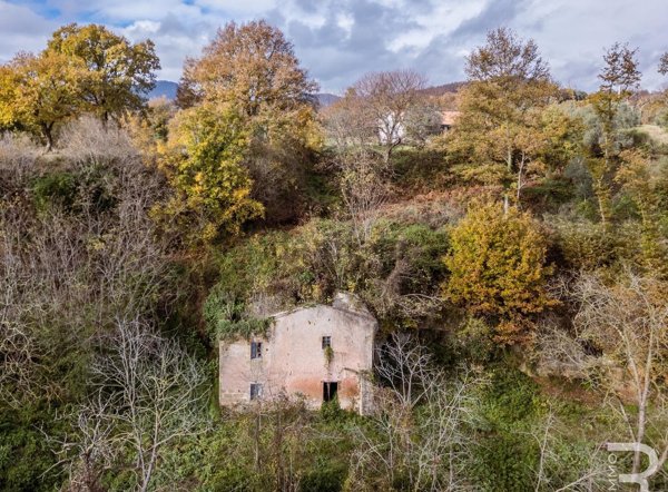 esavano in vendita a Sorano