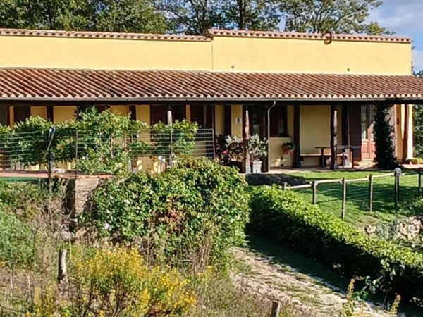 casa indipendente in vendita a Sorano in zona Sovana