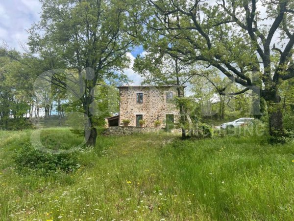 casa indipendente in vendita a Sorano in zona Montebuono