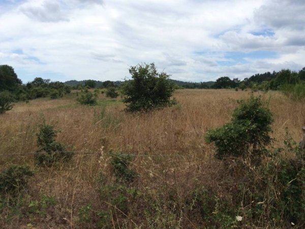 terreno agricolo in vendita a Sorano in zona Castell'Ottieri