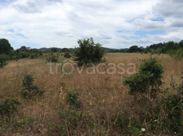 terreno agricolo in vendita a Sorano in zona Castell'Ottieri