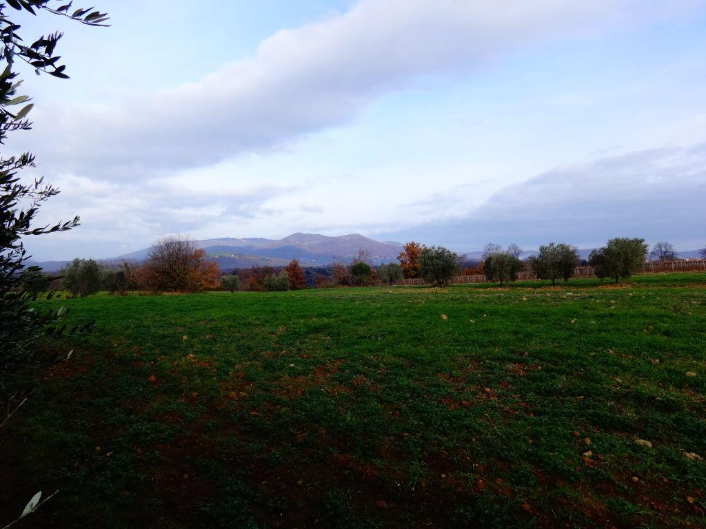 negozio in vendita a Sorano