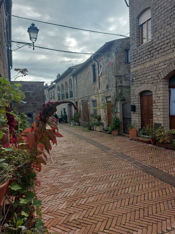 appartamento in vendita a Sorano in zona Sovana