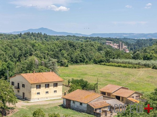 casa indipendente in vendita a Sorano in zona Castell'Ottieri