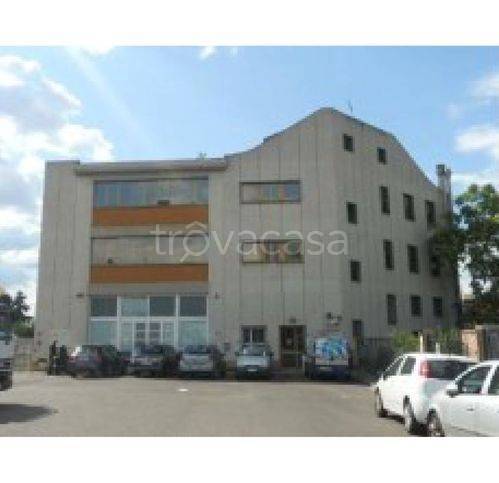 negozio in vendita a Sorano in zona San Quirico