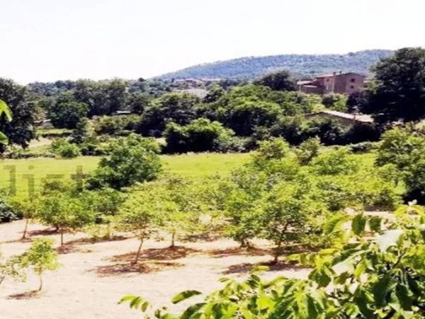 casa indipendente in vendita a Sorano