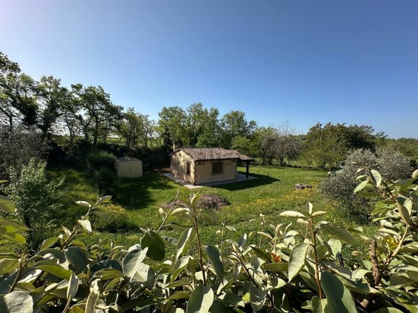 appartamento in vendita a Sorano