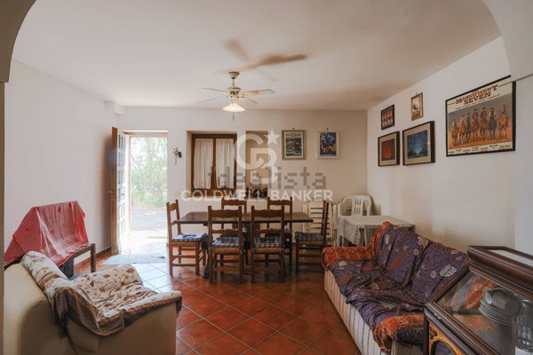 esavano in vendita a Sorano