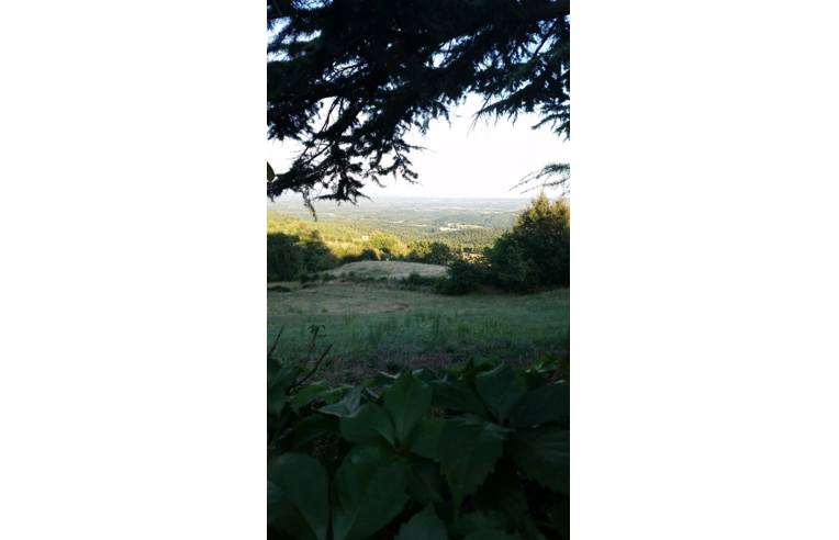 casa indipendente in vendita a Sorano